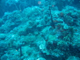 IMG_1324.JPG
