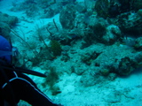 IMG_0765.JPG