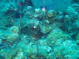 IMG_1326.JPG