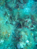 IMG_1327.JPG