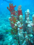 IMG_1329.JPG