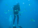 IMG_1347.JPG