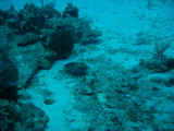 IMG_0767.JPG