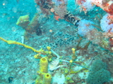 IMG_1355.JPG