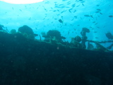 IMG_1358.JPG