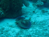 IMG_0768.JPG