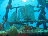 IMG_1362.JPG