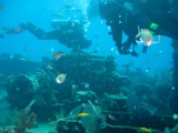 IMG_1363.JPG