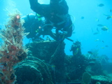 IMG_1364.JPG