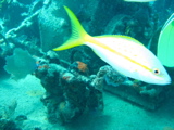 IMG_1365.JPG