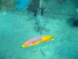 IMG_1367.JPG