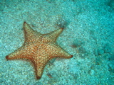 IMG_1369.JPG