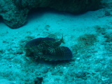 IMG_0769.JPG