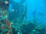 IMG_1371.JPG