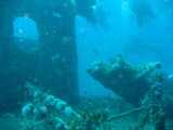 IMG_1374.JPG