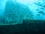IMG_1376.JPG