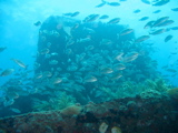 IMG_1377.JPG