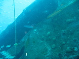 IMG_1378.JPG