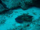 IMG_0770.JPG