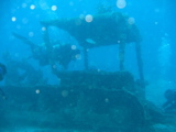 IMG_1382.JPG