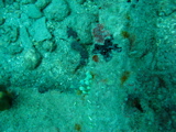 IMG_1386.JPG
