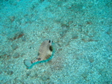 IMG_1388.JPG