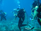 IMG_0771.JPG