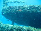 IMG_1390.JPG