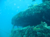 IMG_1392.JPG