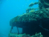 IMG_1393.JPG