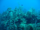 IMG_0744.JPG