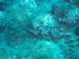 IMG_0806.JPG