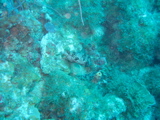 IMG_0805.JPG