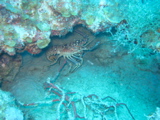 IMG_0804.JPG