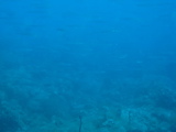 IMG_0807.JPG