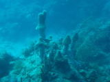 IMG_0808.JPG