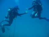 IMG_0809.JPG