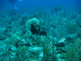 IMG_0814.JPG