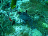 IMG_0815.JPG