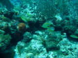 IMG_0817.JPG