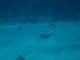 IMG_0818.JPG