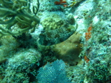 IMG_0820.JPG