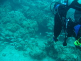 IMG_0830.JPG