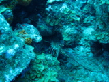 IMG_0746.JPG