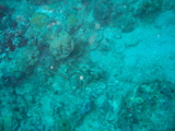 IMG_0838.JPG