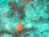 IMG_0839.JPG
