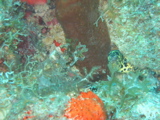 IMG_0840.JPG