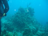 IMG_0842.JPG
