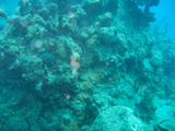 IMG_0843.JPG