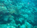 IMG_0844.JPG